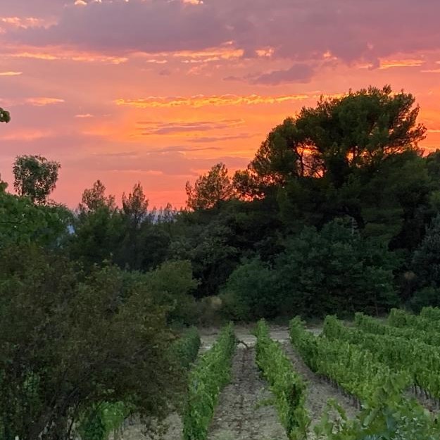 330b73da-e10e-48c2-8e0f-a3671140e63a (002)