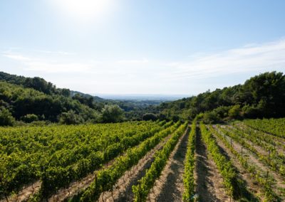 La parenthèse Mas de Lencieu